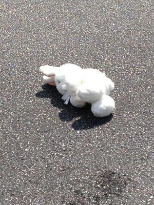 Driving home from church last Sunday, I stood on my brakes as the car in front of me swerved to miss an animal in the road. It appeared to be too late for us both: the fluffy, white body was motionless on the centerline, and my heart sank.