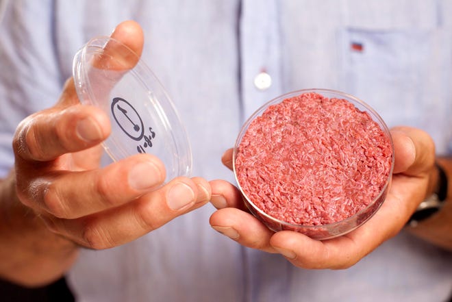 A new Cultured Beef Burger made from cultured beef grown in a laboratory from stem cells of cattle, is held by the man who developed the burger, Professor Mark Post of Netherland's Maastricht University, during a the world's first public tasting event for the food product in London, Monday Aug. 5, 2013. The Cultured Beef could help solve the coming food crisis and combat climate change according to the producers of the burger which cost some 250,000 euros (US dlrs 332,000) to produce. (AP Photo / David Parry, PA)
