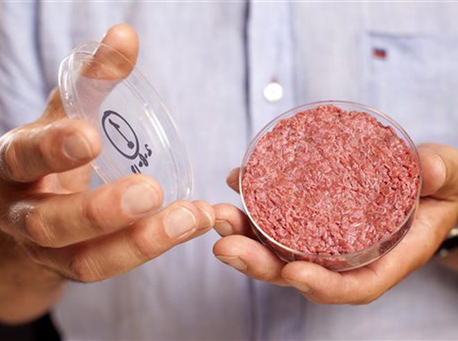 A new Cultured Beef Burger made from cultured beef grown in a laboratory from stem cells of cattle, is held by the man who developed the burger, Professor Mark Post of Netherland's Maastricht University, during a the world's first public tasting event for the food product in London, Monday Aug. 5, 2013. The Cultured Beef could help solve the coming food crisis and combat climate change according to the producers of the burger which cost some 250,000 euros (US dlrs 332,000) to produce.