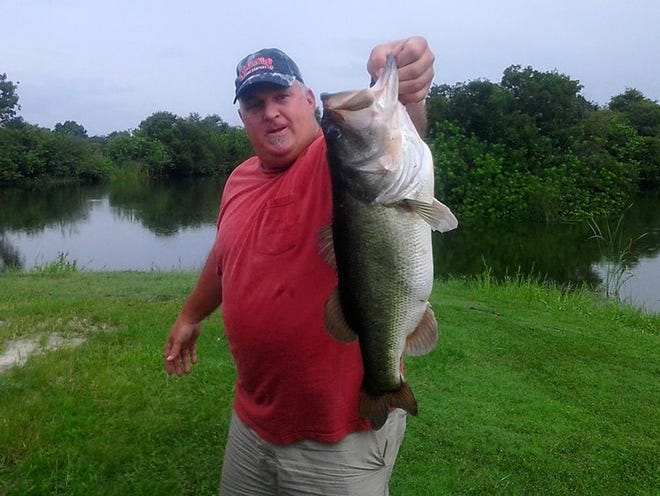 Richard "RJ" Hunt of Lakeland released this 9-pound, 7-ounce bass at Saddle Creek Park on July 18 casting a green pumpkin pearl belly Strike King Rage Tail Toad. Plastic frogs have been effective later into the summer this year because of heavy rains. (COURTESY PHOTO)