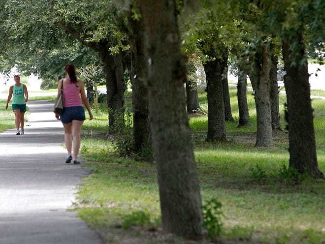 Pedestrians walk past trees that were planted as a memorial to remember the 134 Alachua County veterans who lost their lives in the Korean and Vietnam wars on Friday, July 18, 2013 in Gainesville. Each tree has a tag attached that names a veteran.