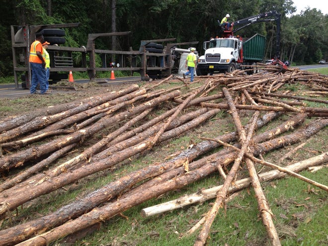 Workers remove logs that spilled when a truck overturned on County Road 318 in Citra Thursday.