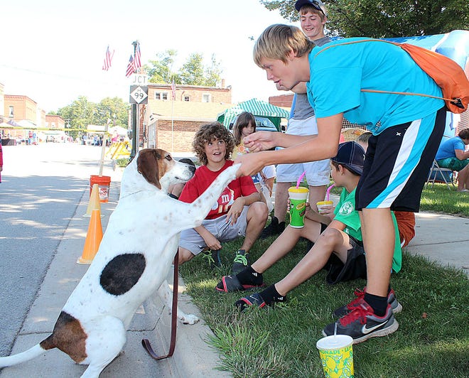 A friendly Treeing Walker Coonhound shakes hands with Bryton Warrens, 14 at the Litchfield Sweet Corn Festival Friday. The dog was one of several from Classy Canine showing off for the crowd. Additional photos from the festival appear on B7.