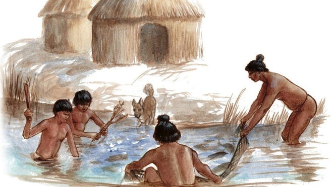 Evidence suggests that one way the Belle Glade Culture people used the many canals they dug around their dwellings was to trap fish in them using weirs.