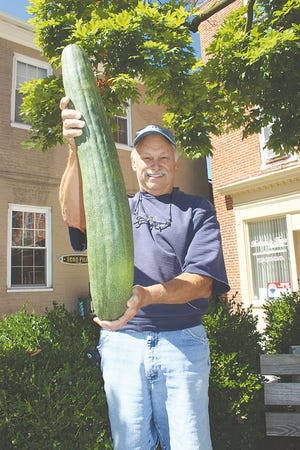 While Rick Dickson of Williamson Road reported that his garden was the “best in years”, he was surpised to find this giant English cucumber amidst the bounty. The “pickle” was 33 inches long and weighed 11 pounds.