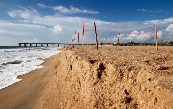 Sea turtle nest #13, located north of the St. Johns County Pier, lies dangerously close to the eroding shoreline as seen Wednesday morning, August 21, 2013. By DARON DEAN, daron.dean@staugustine.com