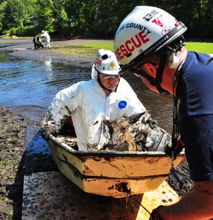 Members of the Plymouth County Technical Rescue Team rescue an approximately 1-year-old doe that was stuck in mud Sunday afternoon near Old Ocean Street in Marshfield.