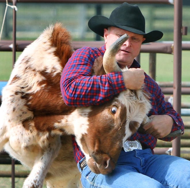 William “Bud” Hallman wrestles a steer as he practices at his ranch in Webster. Hallman, 60, a circuit court judge in Sumter County, will compete at this year's Ocala Shrine Rodeo.