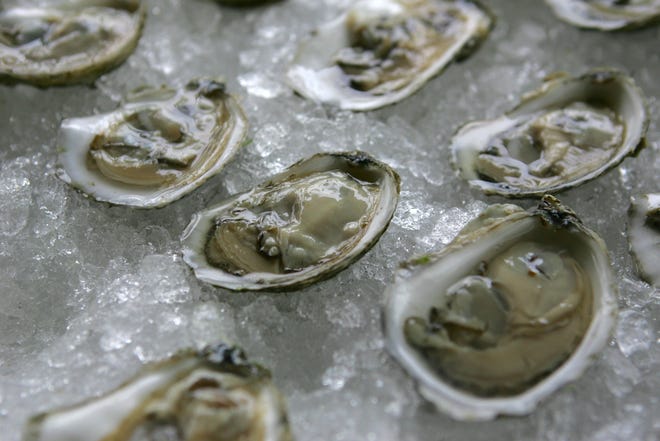 Freshly shucked Island Creek Oysters were served during Wednesday's Claddagh Foundation Fundraiser held at 88 Wharf in Milton.