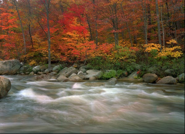 The fiery hues of autumn punctuate the banks of the Swift River in the White Mountain National Forest near Albany, N.H.