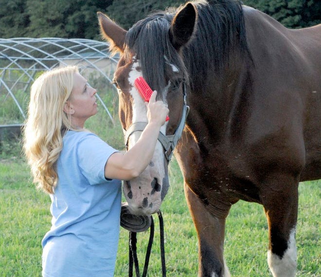 Jackie Pienta with one of her Clydesdales.