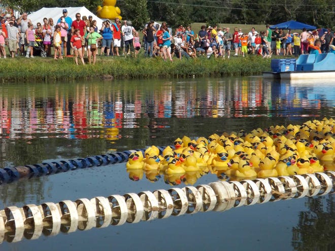 The flock of nearly 12,000 ducks thins as they approach the finish under the watchful eye of hundreds of people gathered on the shore of Lake Shawnee south of the swim beach.