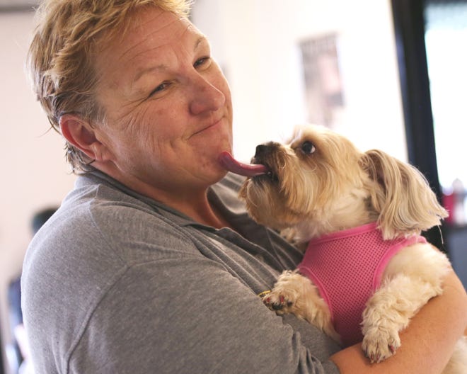 Molly, a 6-year-old shih tzu, licks the face of Carol Treftz at the Bay County Animal Shelter in Bay County in this News Herald file photo.