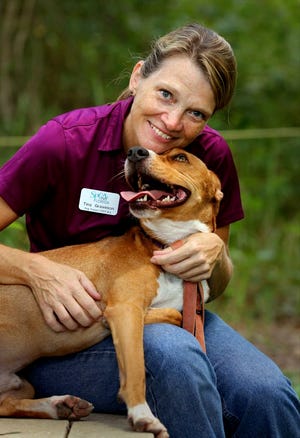 Tina Graveson , Dog Trainer at the SPCA Florida with 'Buddy' a 1.5 year old Black mouthed Cur mix that is up for adoption in Lakeland Fl. Wednesday August 210, 2013.