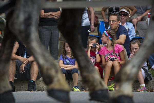 Horses clip-clop down N. Sandusky Street in Delaware as, from left, 6-year-old Claire Varvel, in blue, 8-year-old Jake Simmons, 11-year-old Mara Simmons and 9-year-old Anna Varvel get a ground-level view.