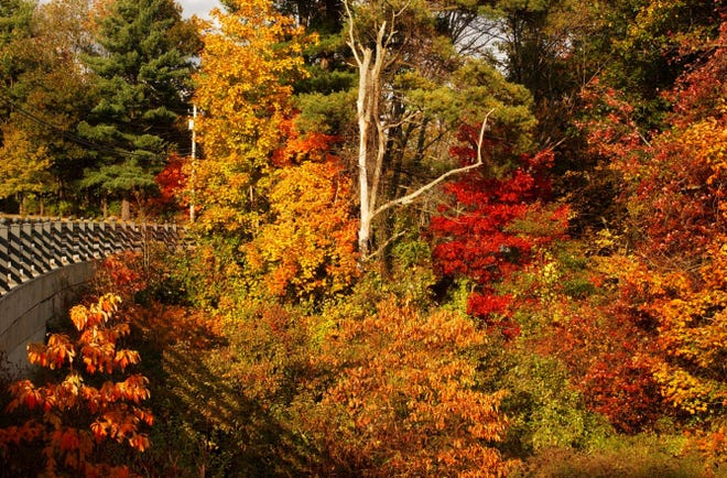 Rhode Island offers many sights for beautiful views of fall foliage.