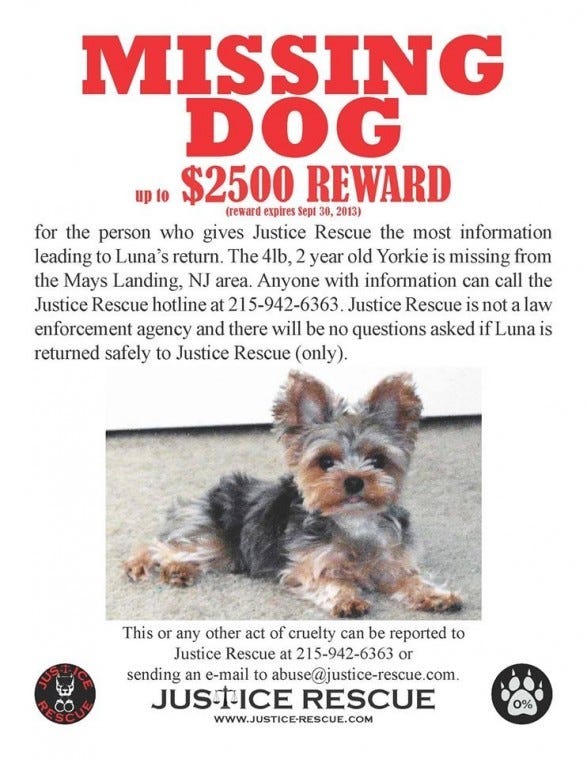 Another missing dog, and Justice Rescue is on the case