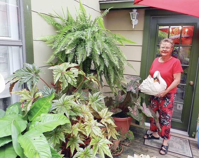 Local green thumb gives readers a glimpse of her backyard oasis