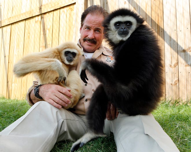 Tiger Safari owner Bill Meadows holds his new gibbon apes Teeka, left, and Marley.