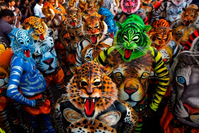 Artists with painted bodies and tiger masks perform during the annual 'Pulikali' or Tiger Dance in Thrissur, in the southern Indian state of Kerala, Thursday, Sept. 19, 2013. Pulikali is a colorful recreational folk art revolving around the theme of tiger hunting, performed to entertain people during Onam, an annual harvest festival. (AP PhotoArun Sankar K., File)