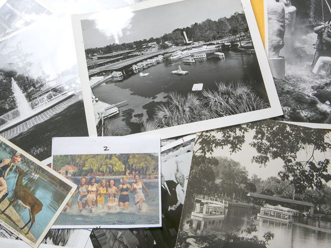 David Cook looks through some of the many pictures of the Silver Springs he has collected over the years in the Star-Banner office in Ocala, FL on Tuesday September 17, 2013. Cook was a reporter and editor at the Ocala Star-Banner covering the area for more then 40 years.