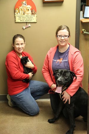 Tammi Proulx and her sister, Kristin Green, are shown with one of the dogs they care for each Sunday evening.