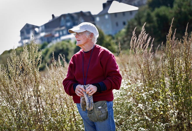 As Nut Island State Park’s seasonal gardener, Lois Murphy of Houghs Neck helps keep the park looking good.