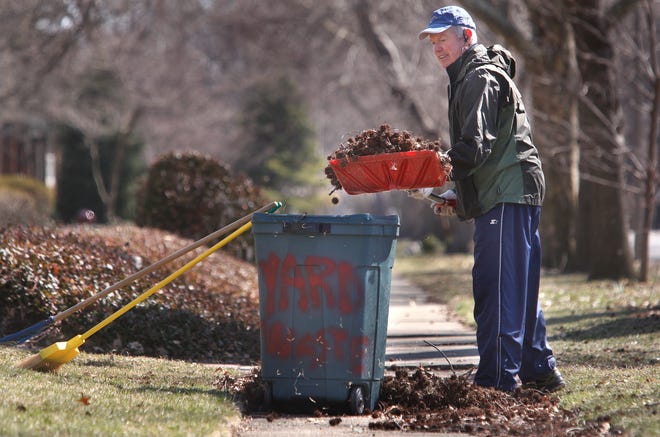 Springfield resident Tom Stapleton uses a snow shovel to transfer sweet gum balls from his property into a yard waste can while performing his first yard work of the Spring in the 1500 block of S. Park Ave. on Wednesday, April 3, 2013. Springfield's spring yard waste collection starts this month.