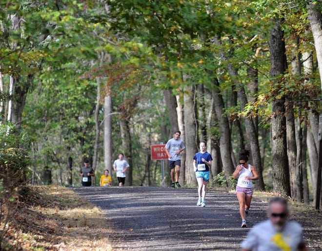 Runners round out at the top of the hill of Bowman's Hill Towerbefore heading downhill during the Bowman’s Hill Wildflower Preserve's 2nd annual Flower to Tower 5K Run/Walk on Sunday morning in Upper Makefield at the preserve. The run went from a pavillion area at the entrance of the preserve to Bowman's Hill Tower, which was built as a commemorative monument in 1931 to George Washington and his army.