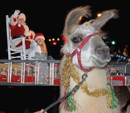 Santa Claus and his helper riding atop an Oak Ridge fire engine with a Christmas llama leading the way at last year’s Oak Ridge Christmas parade.