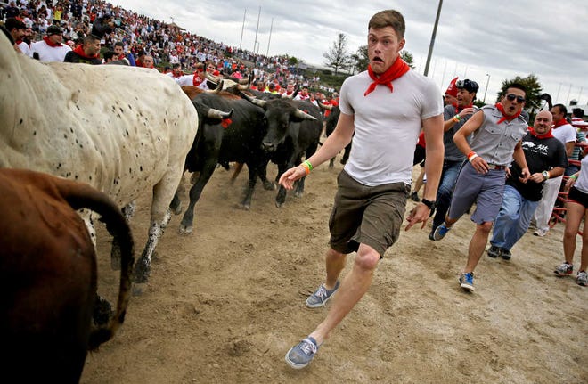 A participant runs alongside bulls at the Great Bull Run at the Georgia International Horse Park, in Conyers, Ga. The next stop for the event is Dec. 7 in Baytown, Texas.