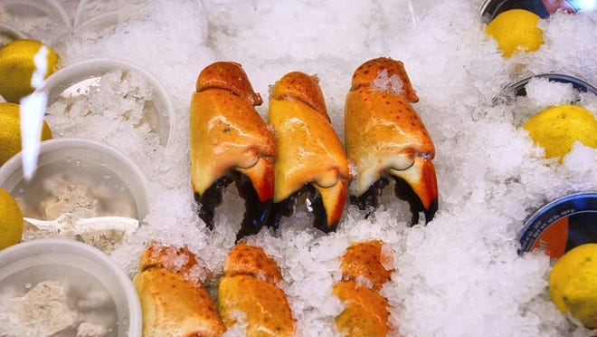 On Oct. 16, the day that Stone Crab Claw season began, a pile of jumbo stone crab claws are nestled in ice at Gulf Stream Bistro and Seafood Market in West Palm Beach. (Photo by Libby Volgyes/Special to the Palm Beach Post)