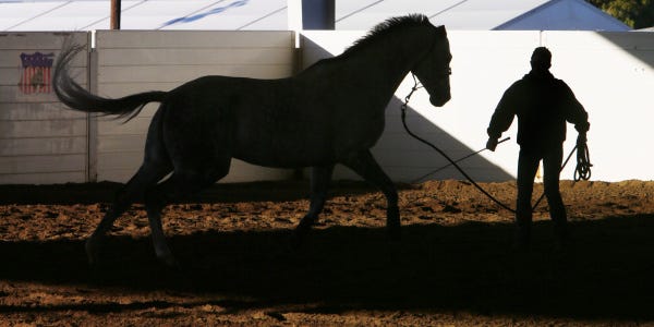 Emille Lavigne of Leighton, Pa., lunges her horse All About Lou during an early-morning workout at the Ohio Expo Center during the All American Quarter Horse Congress. The two were unfazed by the chilly air yesterday.