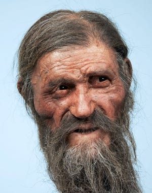 What's buzzin', cousin? There may be a good reason that Ötzi the Iceman looks like my German relatives.