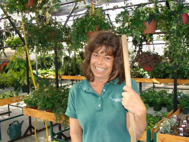 Courtesy photo

Mary Corbett of Somersworth is being honored this week at Wentworth Greenhouse and Garden Center for her 25 years working at the Rollinsford business, not to mention her great disposition and extensive knowledge of plants. Her boss has even decided it is worth it to pay Mary to just sit there on her day off so the community can come “Come Visit Mary.”