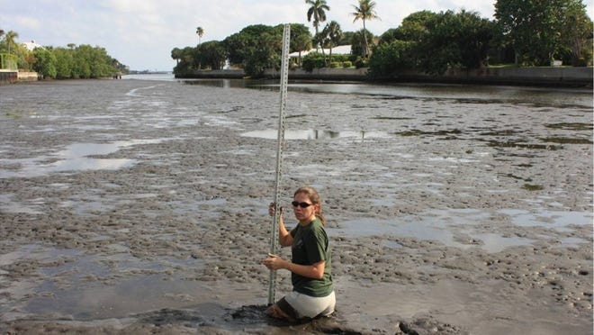 Julie Mitchell, an environmental analyst with Palm Beach County’s Department of Environmental Resources Management, measures muck in the Lake Worth Lagoon. (Provided by Palm Beach County Department of Environmental Protection)