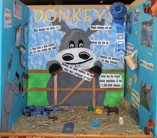 Photos courtesy of Effingham 4-H4-H member Payton Sikes was named a grand champion winner in the Cloverleaf divison for his booth at the fair.