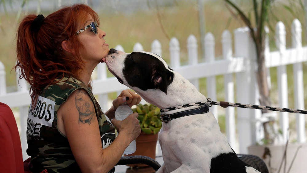 'Pit Bulls and Parolees' shines light on dogs in New Orleans
