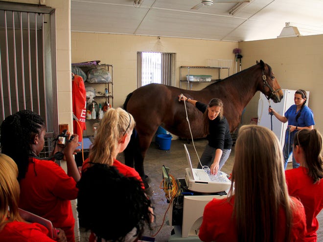 Dr. Kindra Orr speaks to a group of students from Dunnellon High School at Peterson & Smith Equine Hospital on Tuesday as part of the school's Pathways 2 Prosperity program.