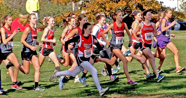 R-S girls 13th at state cross country meet