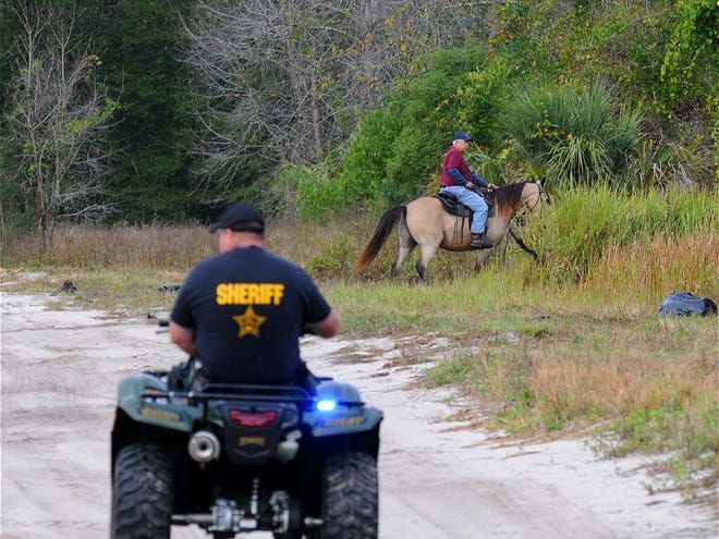 As a rider works the wood line, a Volusia County sheriff's deputy patrols on an ATV as Texas Equusearch joins local authorities in the search for the missing Suarez family east of DeLand on Saturday morning, November 9, 2013.