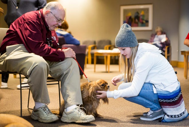 Alissa Devlieger of Rockford pets Roby, a 2-year-old Cavalier King Charles Spaniel, while talking to her handler, Al Penniman, during the five-year anniversary celebration of the PAWS 4 Healing program Monday, Nov. 11, 2013, at OSF Saint Anthony Medical Center in Rockford. The pair usually volunteers at the OSF Center for Cancer Care.