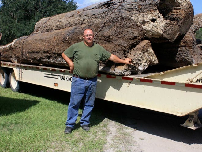 Orange Springs resident Greg Chapman, who scours the Ocklawaha and St. Johns rivers for sunken old-growth logs, is featured in the seventh season of the History Channel series "Ax Men." 
THE GAINESVILLE SUN