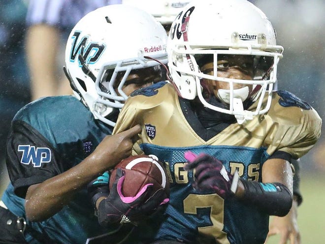 The Jaguars' Terrence Kennedy (3) fights for extra yardage as the Wolf Pack's Tony Johnson (23) tries to stop him during the Marion County Youth Football League's pee wee Super Bowl on Saturday at Jervey Gantt Park. The Jaguars defeated the Wolf Pack, 26-0.
