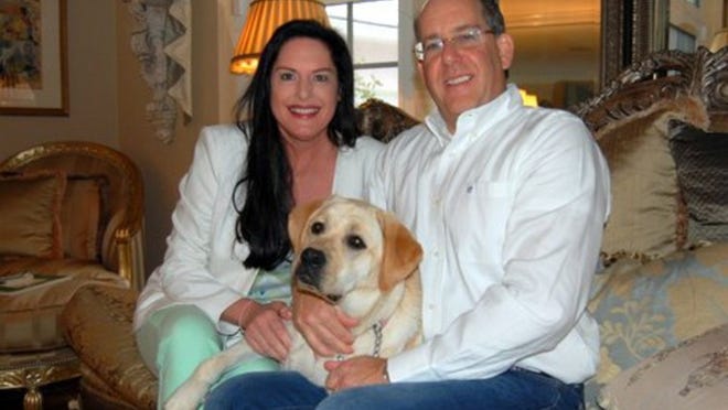 Six-month-old yellow Lab named Priscilla Abbie sprawls across her owners, Julie and Howard Rudolph.