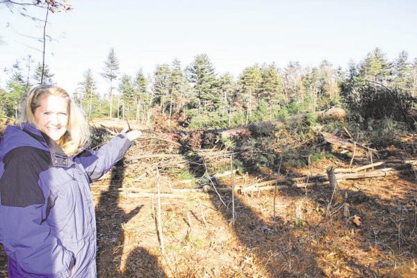 PHOTO BY JANE LOPES/The Gazette
Rocky Meadow Street resident Darlene Parsons shows a visit the remains of what was a wooded area behind her house before NStar began clearing a 300-foot right of way that runs behind her house and those of her neighbors earlier this month.