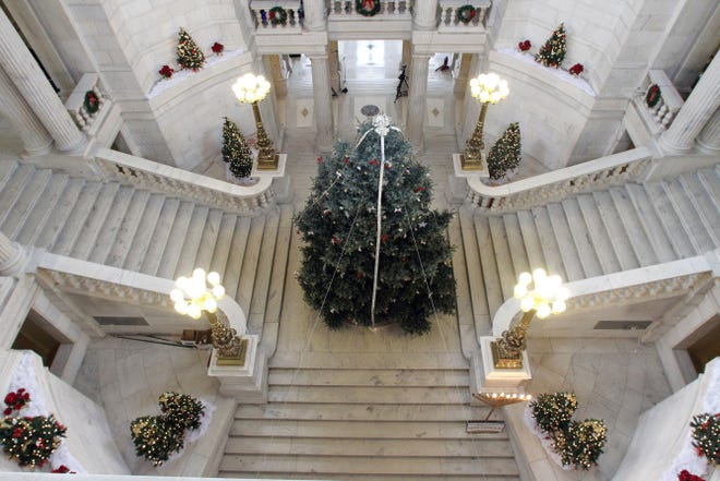 This year's tree at the State House is a Colorado blue spruce, donated by Nancy and Sal DeFazio, of Cranston.