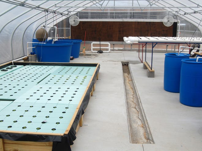 KERRY YENCER | SPECIAL TO THE TIMES
The greenhouse at Boaz Middle School houses the fish tanks and an area to grow plants under strict atmospheric conditions for the advanced science elective class’ aquaponics project.