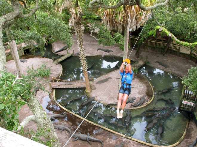Ava Martin zip lines over an alligator lagoon at the St. Augustine Alligator Farm in St. Augustine. At 120 years old, it's one of Florida's oldest tourist attractions, and it is the only zoo in the world that displays all 23 crocodilian species, including the nearly extinct Philippine crocodile.