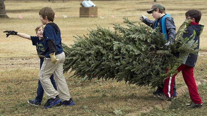Austin residents can recycle their Christmas trees at Zilker Park on weekends through Jan. 12.